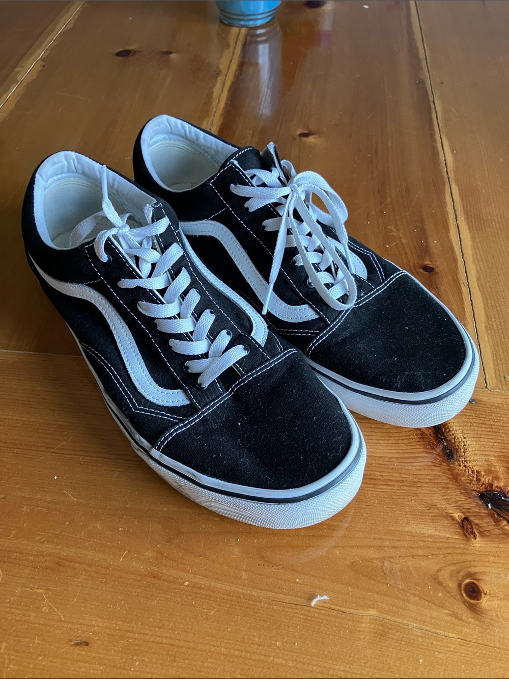Vans Black and White Low-Top Canvas Skate Sneakers